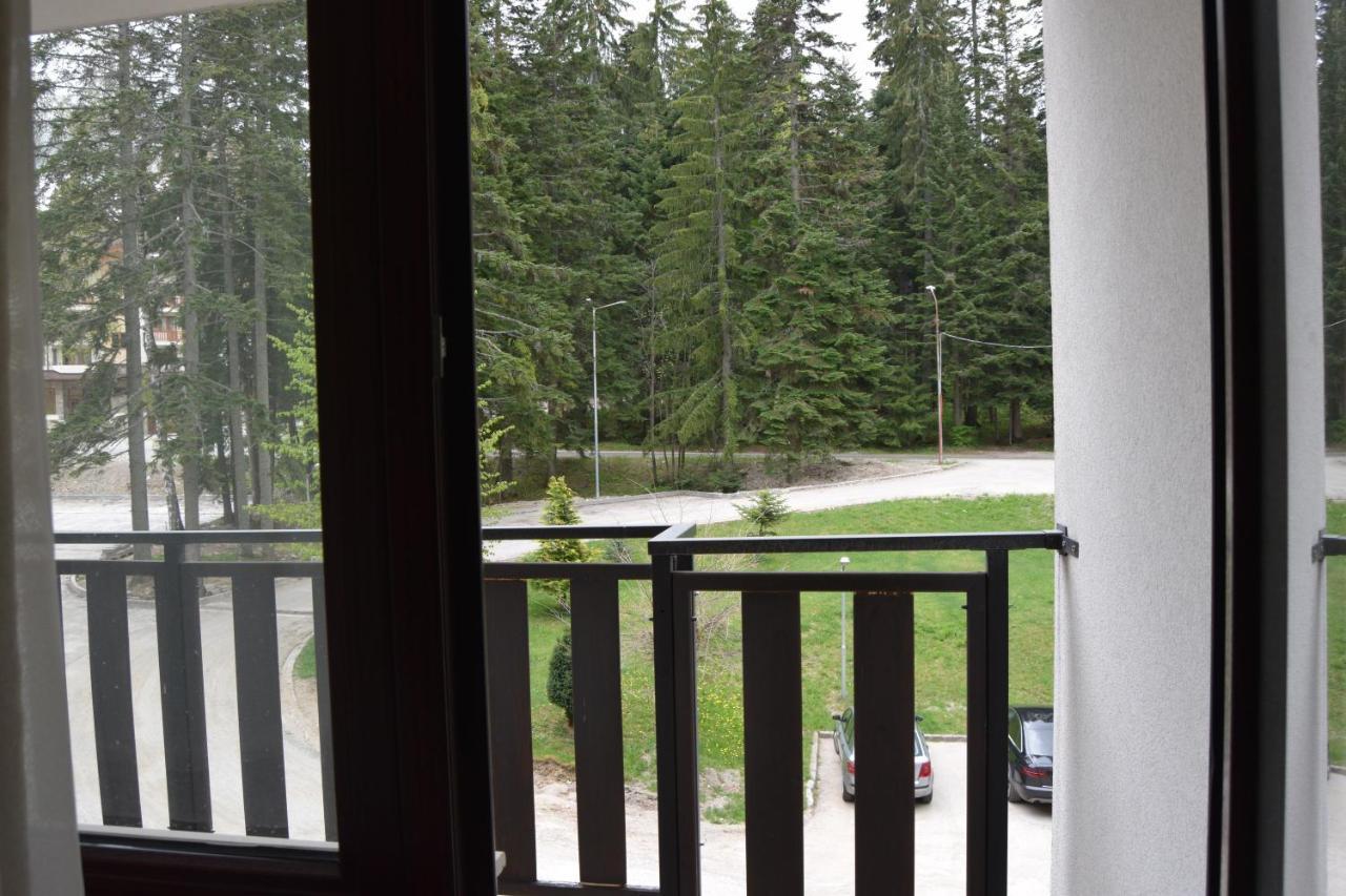 Borovets Holiday Apartments - Different Locations In Borovec Exteriér fotografie