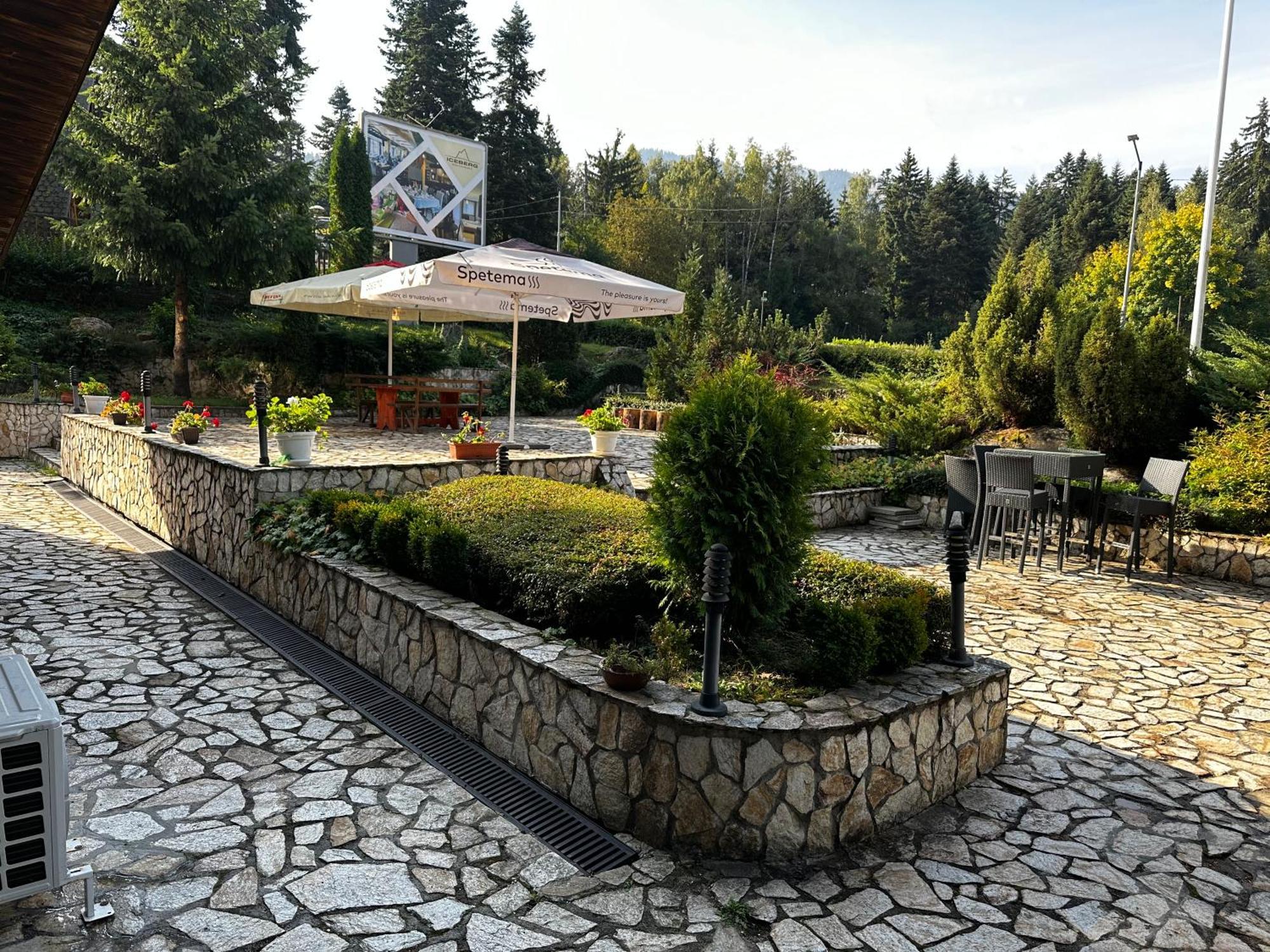 Borovets Holiday Apartments - Different Locations In Borovec Exteriér fotografie